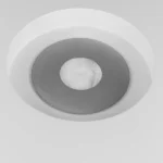 Eclipse in Weiß